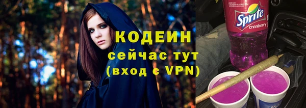 шишки Белокуриха