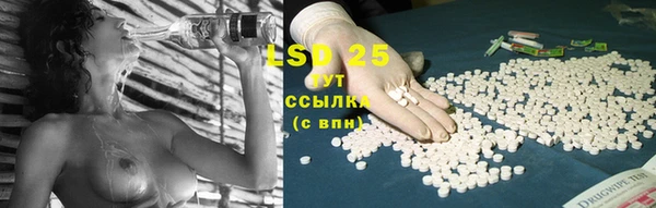 шишки Белокуриха