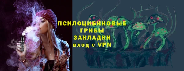 шишки Баксан