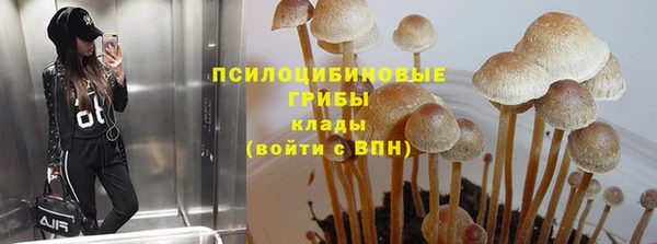 шишки Баксан