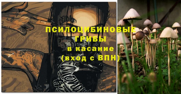 шишки Баксан
